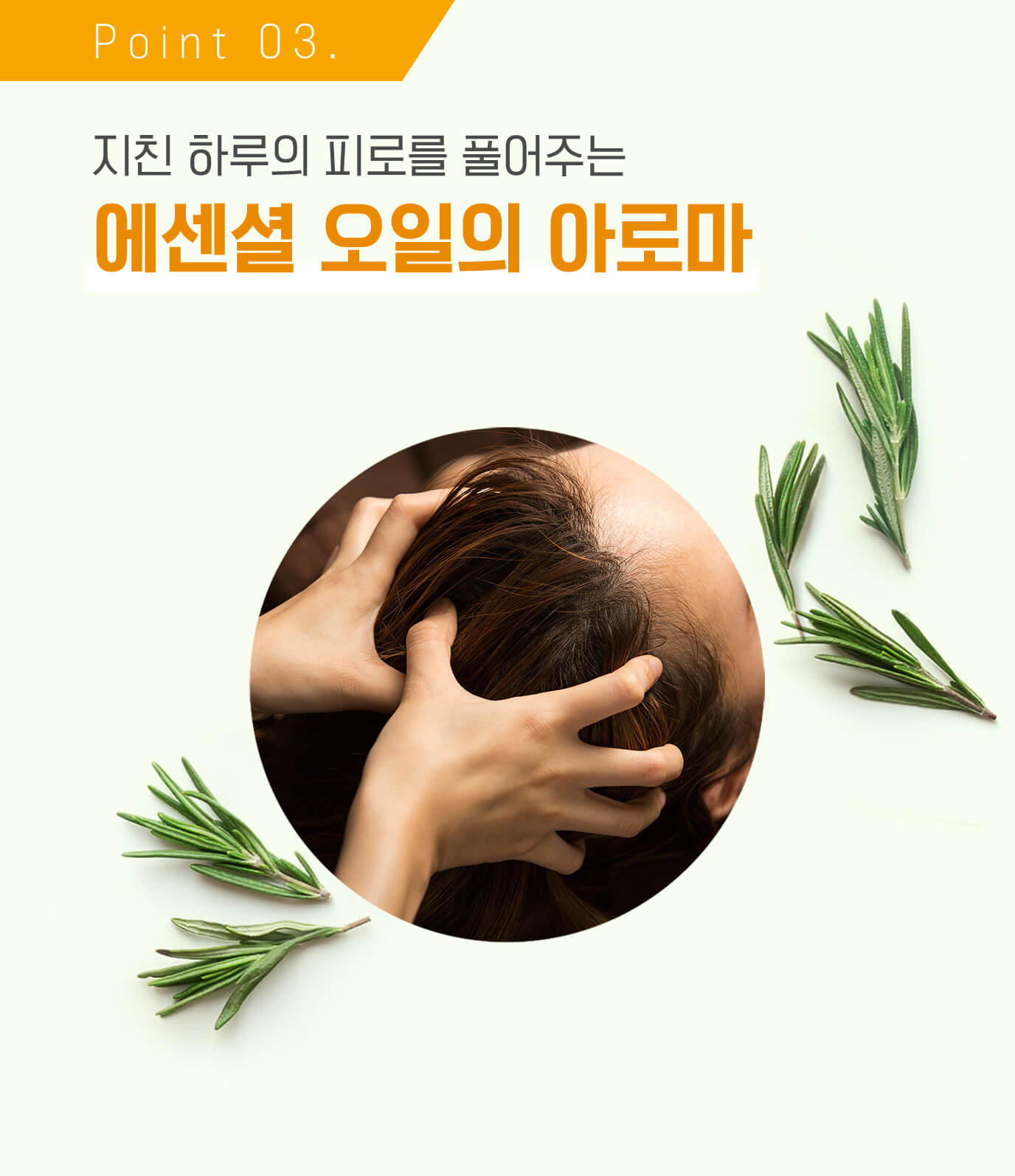Point 03. 지친 하루의 피로를 풀어주는 에센셜 오일의 아로마