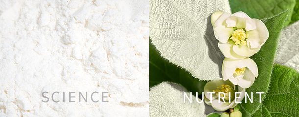 SCIENCE, NUTRIENT