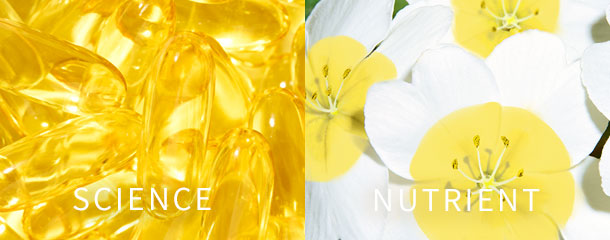 SCIENCE, NUTRIENT