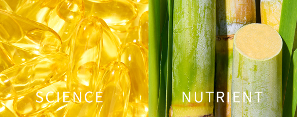 SCIENCE, NUTRIENT